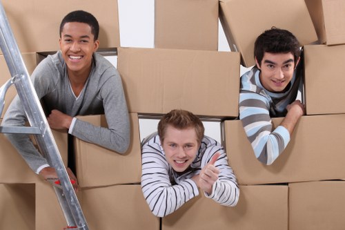 Professional man and van helping with a flat move in Bermondsey